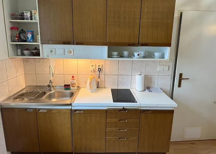 Charming Flat Old Vinohrady 公寓